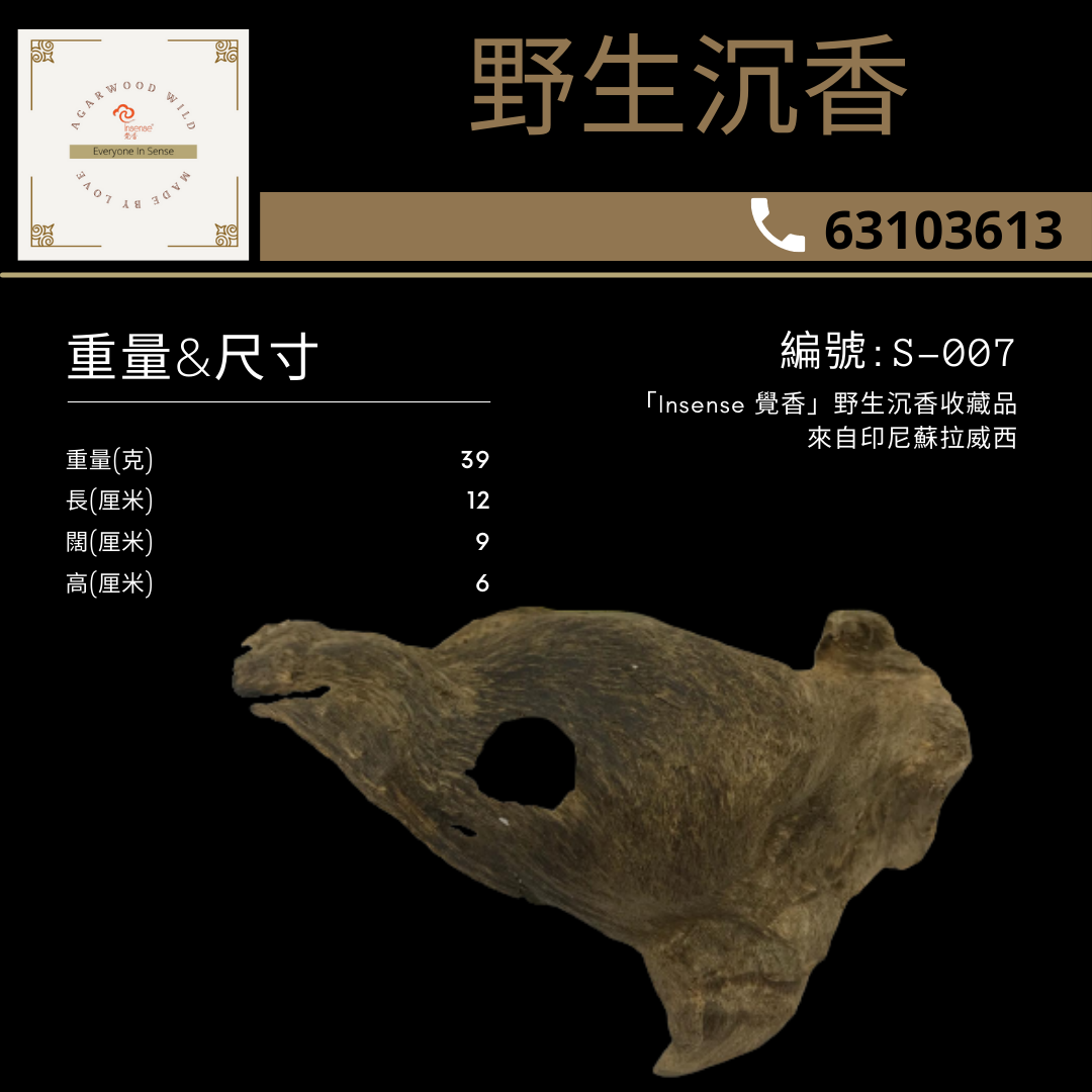 Sulawesi Agarwood Chips